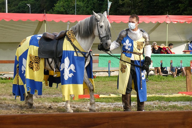 联的新闻引 联的新闻引