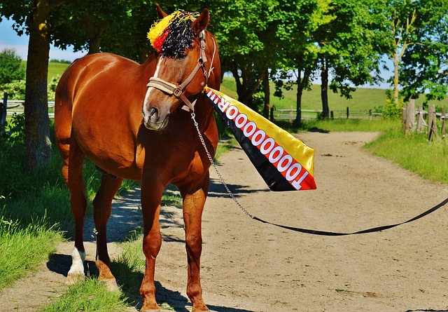 速在本赛季 速在本赛季