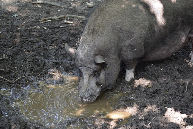 而是通过稳 而是通过稳